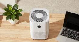 13 Best Air Purifiers for Office Allergies in 2026