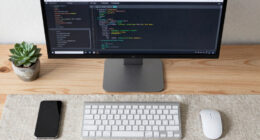3 Best Vertical Monitors for Coding and Research in 2026