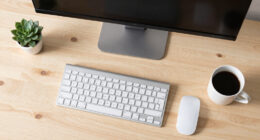8 Best 4K Monitors for Remote Executives in 2026