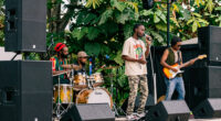 This Reggae Band Is in a Nightmare Battle Against AI Slop Remixes