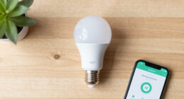 Banned Book Library in a Wi-Fi Smart Light Bulb