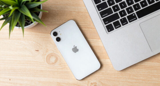 Apple Greift Nach China-Speicher. Europa Hat Nicht Einmal Diese Option.